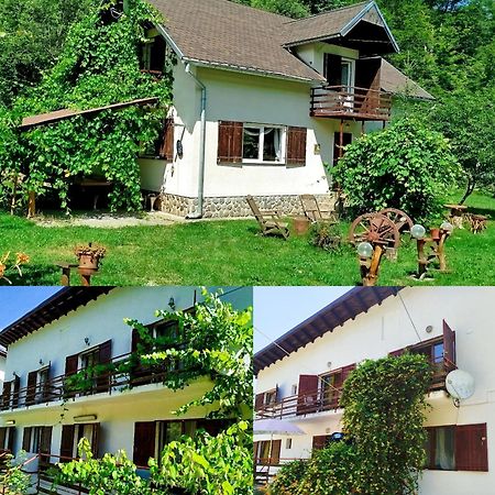 Vila Adela Transfagarasan Villa Cartisoara Luaran gambar