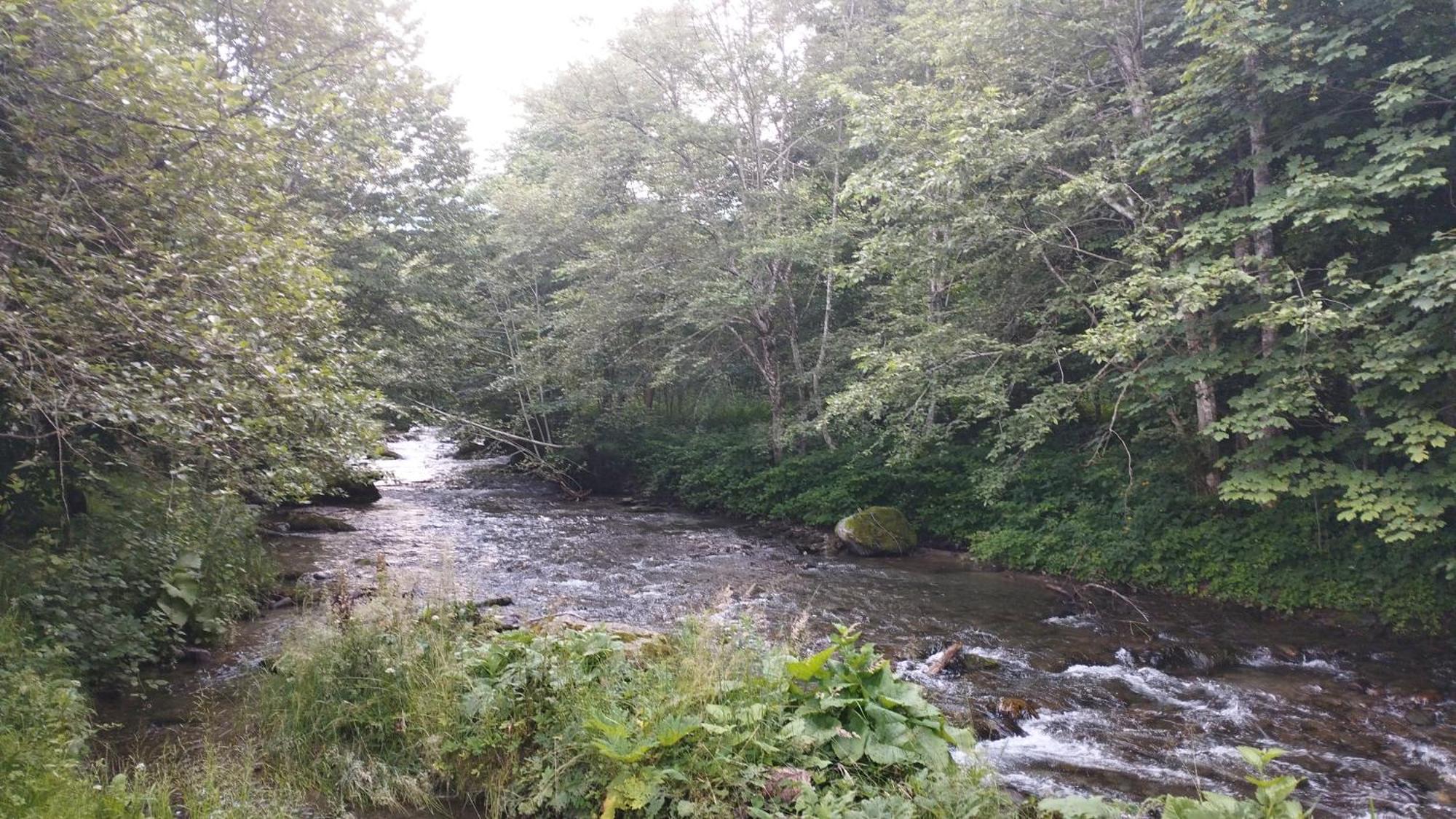 Vila Adela Transfagarasan Villa Cartisoara Luaran gambar