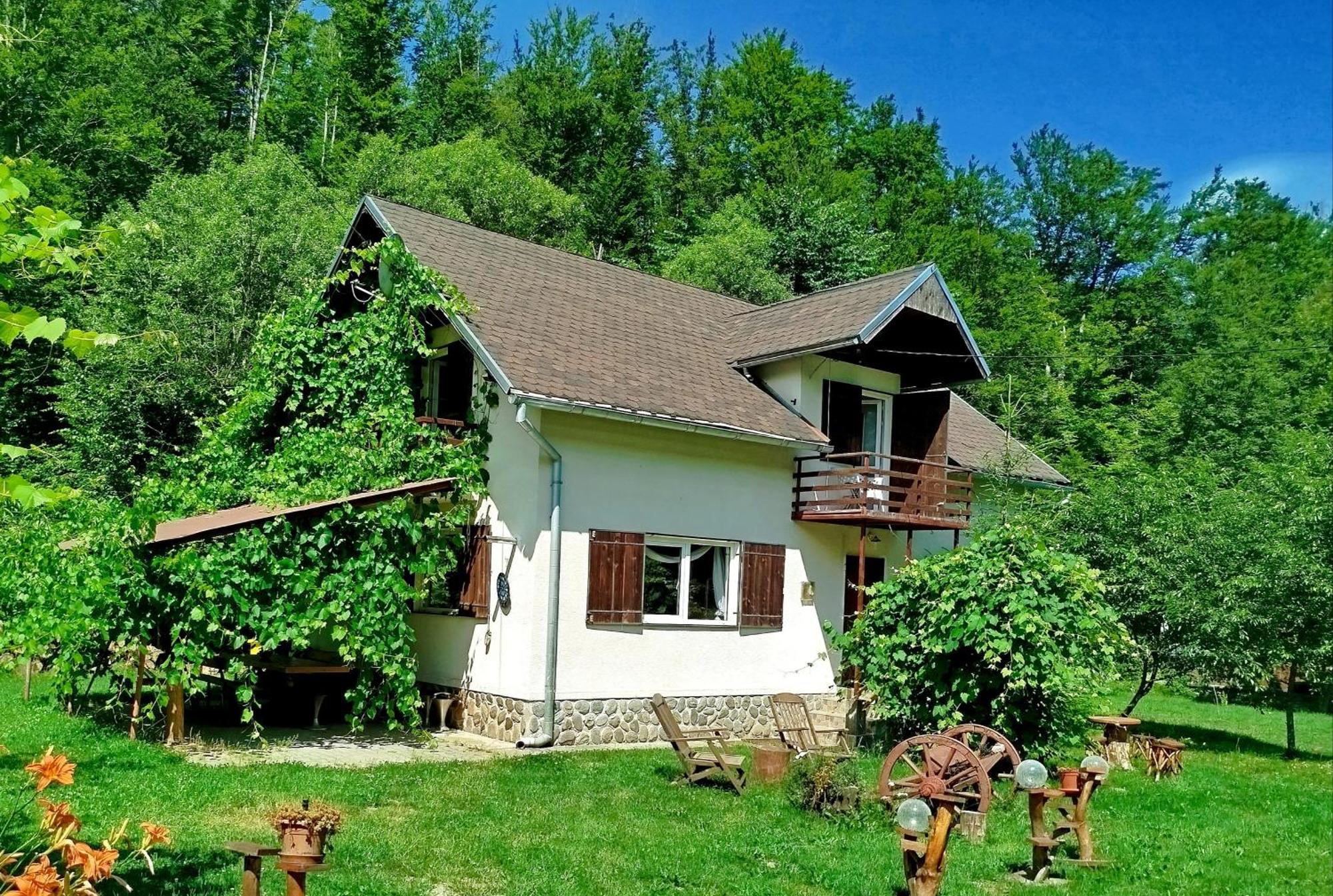 Vila Adela Transfagarasan Villa Cartisoara Luaran gambar