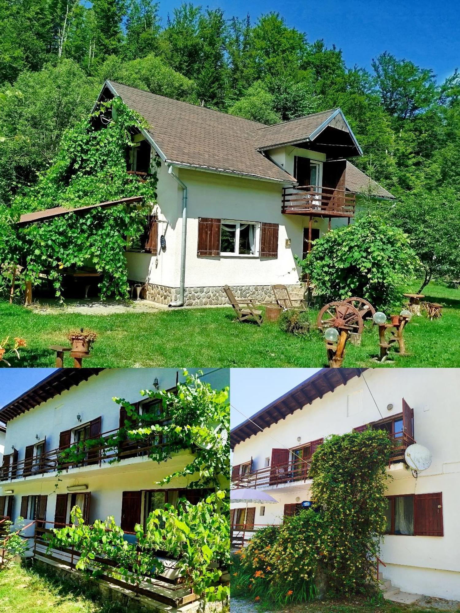 Vila Adela Transfagarasan Villa Cartisoara Luaran gambar