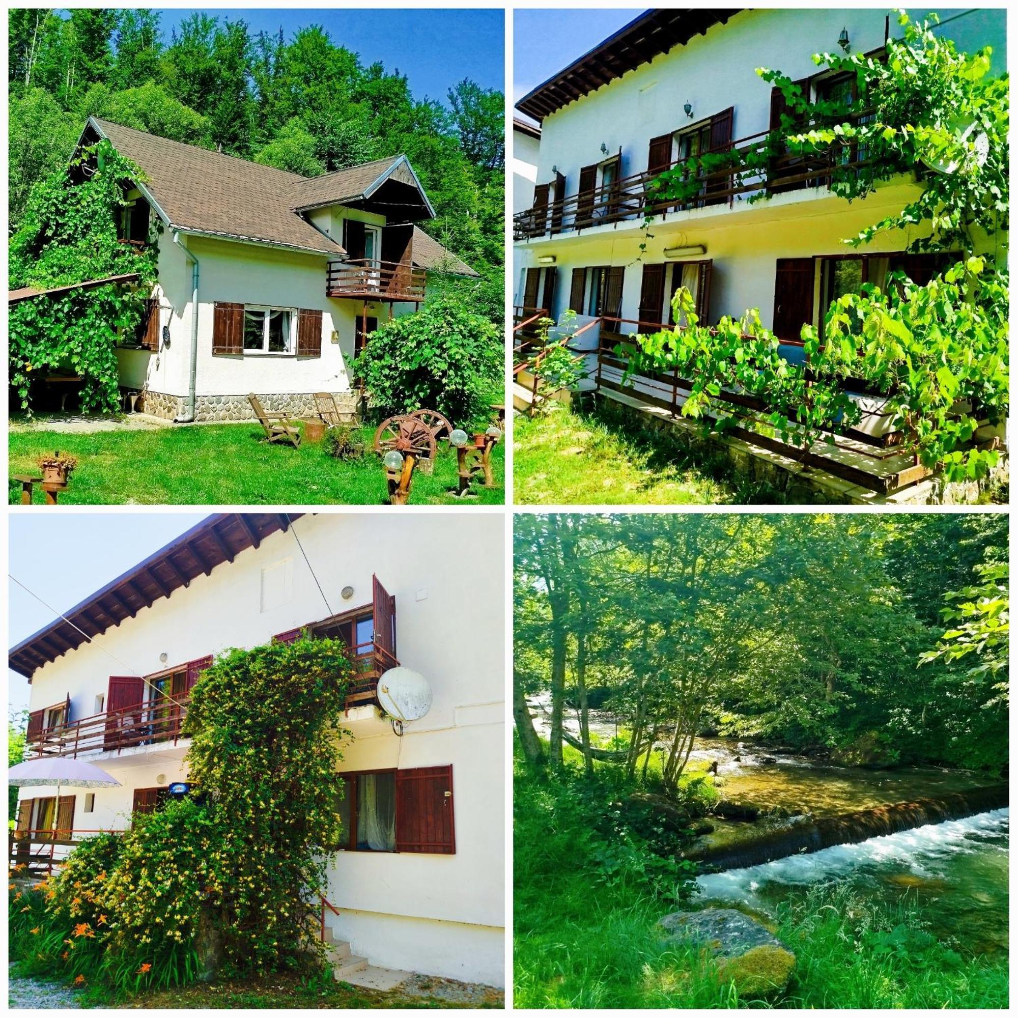 Vila Adela Transfagarasan Villa Cartisoara Luaran gambar