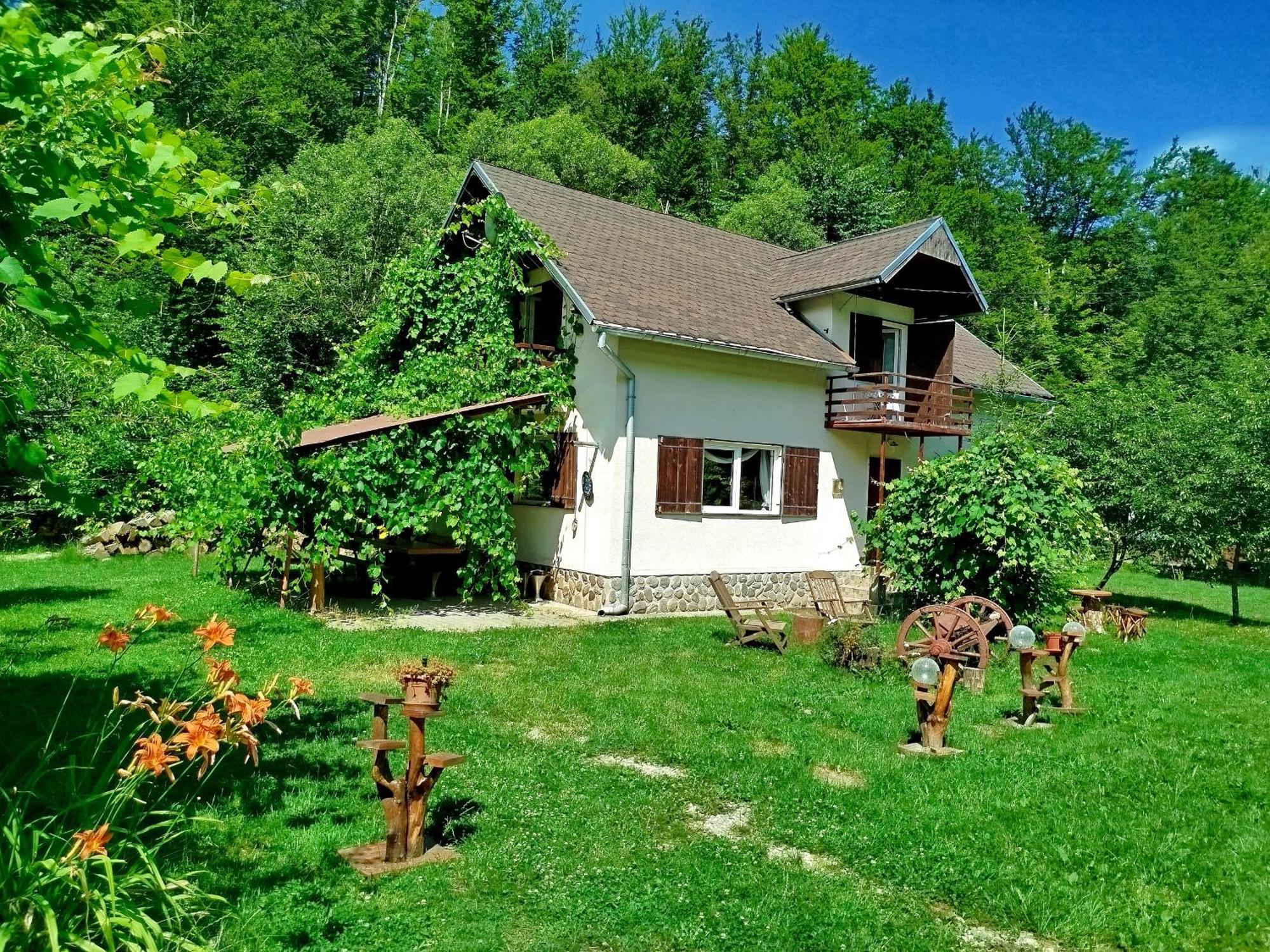 Vila Adela Transfagarasan Villa Cartisoara Luaran gambar