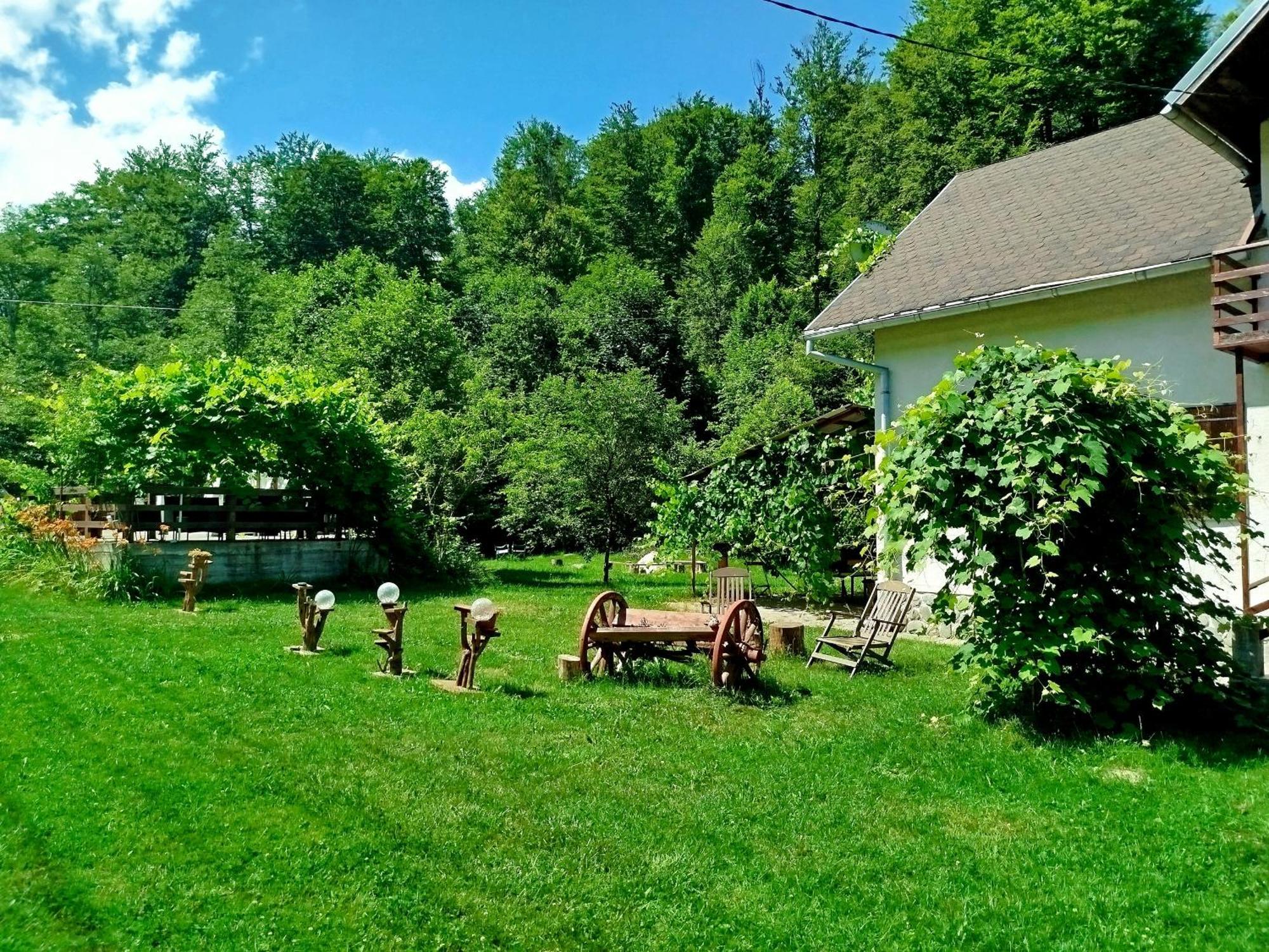 Vila Adela Transfagarasan Villa Cartisoara Luaran gambar