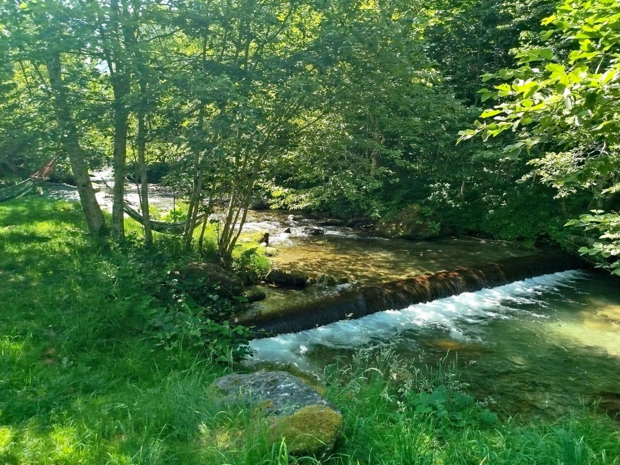 Vila Adela Transfagarasan Villa Cartisoara Luaran gambar