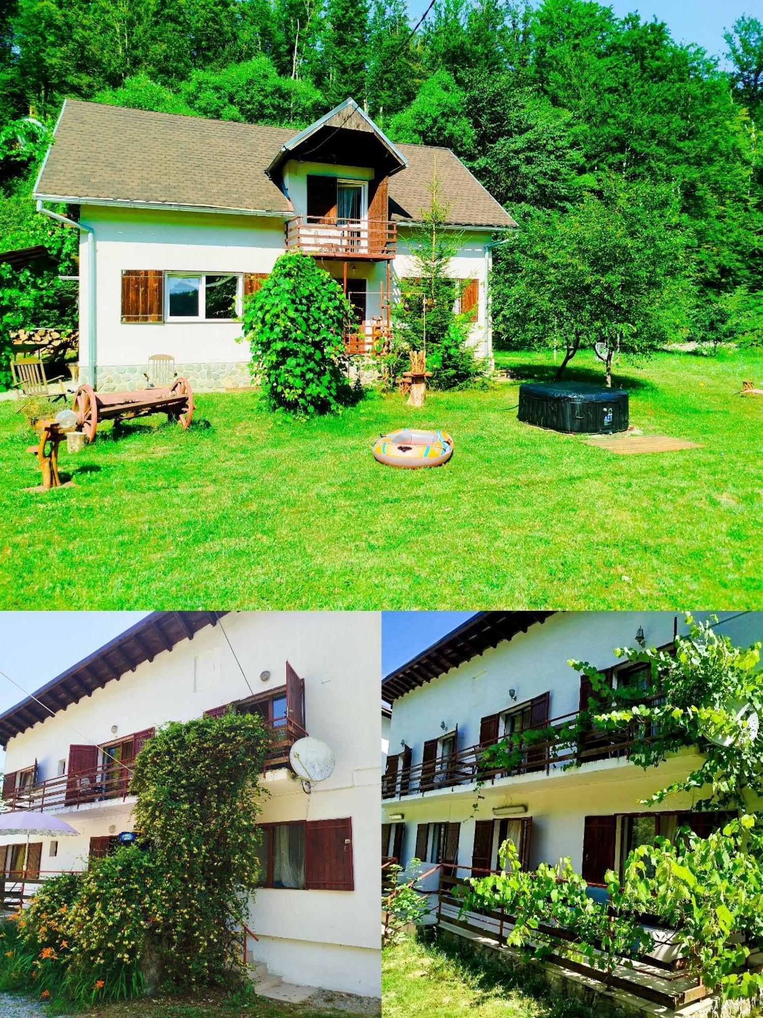 Vila Adela Transfagarasan Villa Cartisoara Luaran gambar